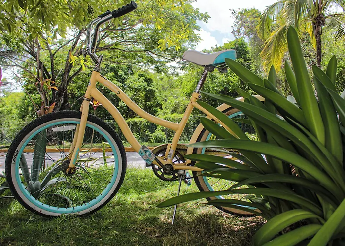 B Unique (adults Only) Hotel Cozumel